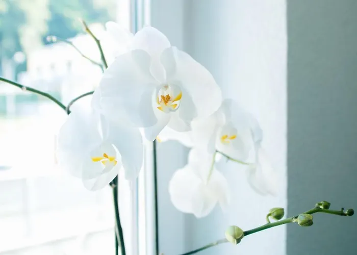 73 - Helga Bartos 3*